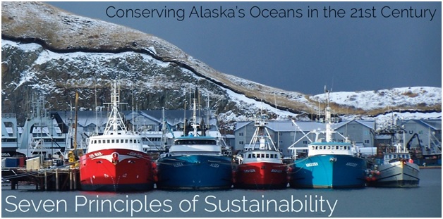 Alaskas Marine Conservation Alliance Launches Website that Explains Federal Fishery Management